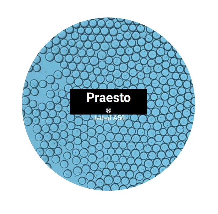 Praesto AP+